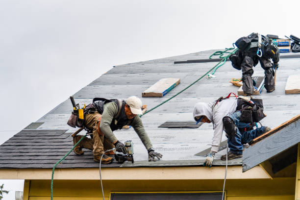 Professional Metal Roofing technician working in Fortuna, CA
