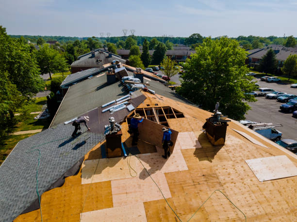 Trusted Roof Repair service in Fortuna, CA - Brentwood Metal Roofing
